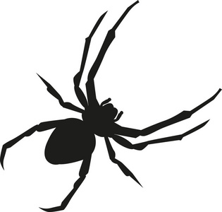 蜘蛛剪影图片