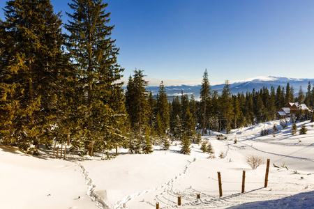 在阳光明媚的早晨冬天白雪皑皑的丛林与木屋山景观