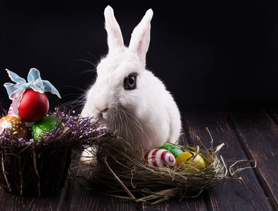 木桌和复活节彩蛋的白兔子