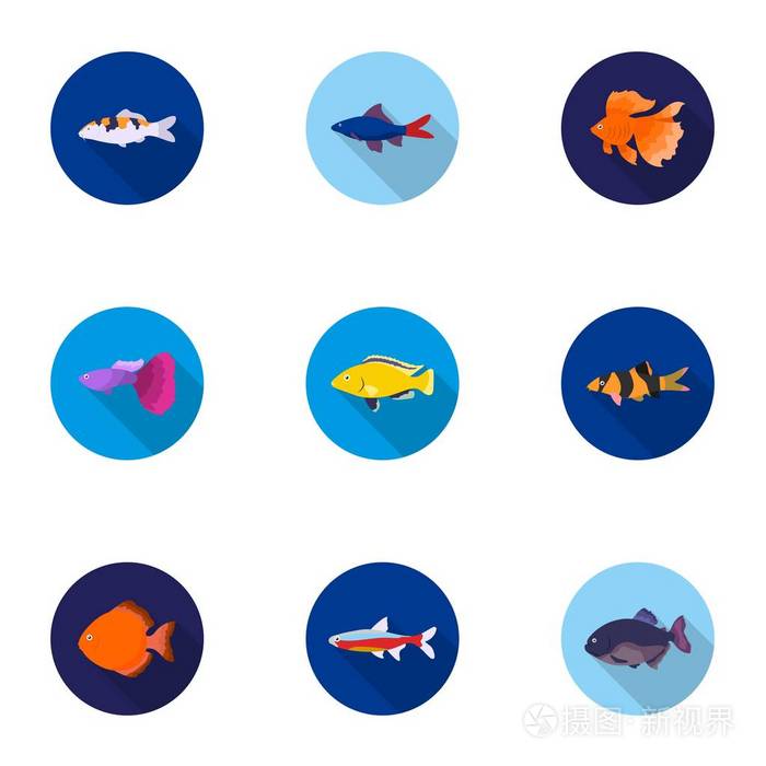 观赏鱼在平面样式中设置图标.水族馆的鱼大集合矢量符号股票图