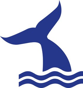 鲸鱼鳍在水中插画