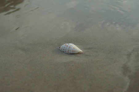 夏季背景，黄色沙滩和大海归来