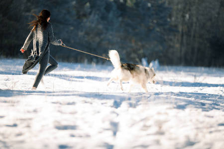 女孩与狗阿拉斯加雪橇犬在冬季森林中运行