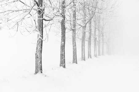 典型的雪域景观，寒冷的冬天白天在捷克共和国的矿石山