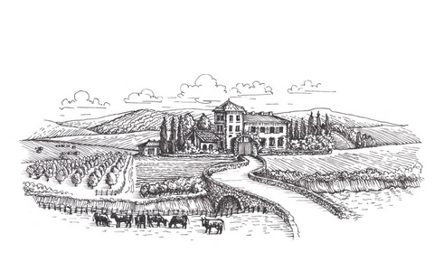 农场, 农业或葡萄园素描照片