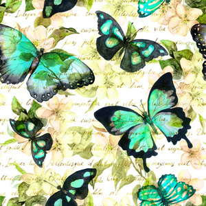花，蝴蝶，手书面的文本注释。水彩画。无缝模式