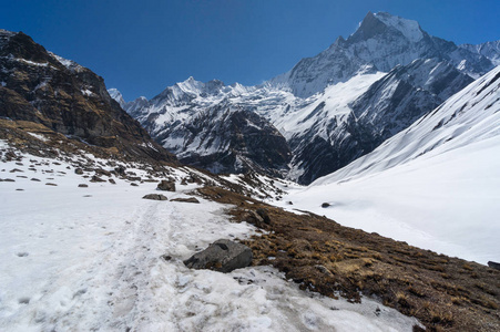 Anapurna 基 c Machapuchre 山前的登山道路