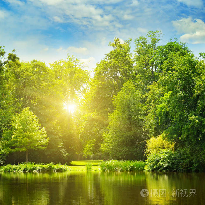 如诗如画的湖夏季森林对银行和日出