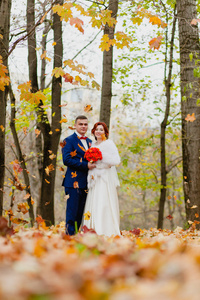 新娘和新郎在秋天公园和飞行秋天的落叶