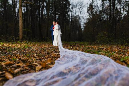 新郎和新娘用很长的婚纱在秋天的树林