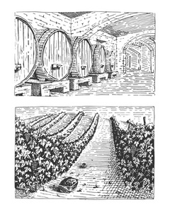 复古刻，手绘葡萄园景观，tuskany 字段，老看底板或 tatooo 风格