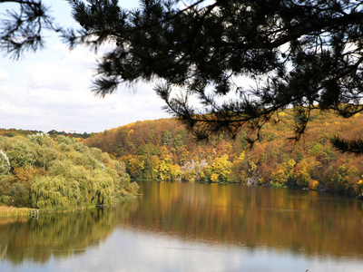 美丽的风景和秋天的元素与大自然的照片微观布局