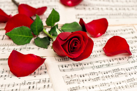 红色玫瑰花音乐笔记板