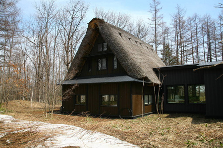 现代农村房子