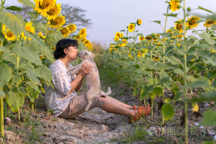 亚洲妇女在向日葵草地亲吻狗旅行