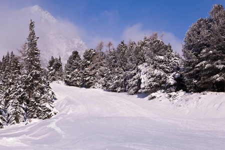 下雪的冬天在山上