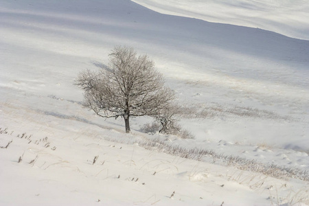 在 Bieszczady 山，南波兰东部山冬景