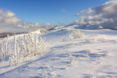 在 Bieszczady 山，南波兰东部山冬景