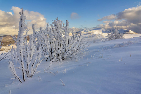 在 Bieszczady 山，南波兰东部山冬景