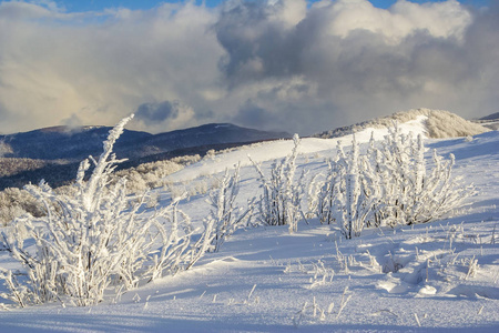 在 Bieszczady 山，南波兰东部山冬景