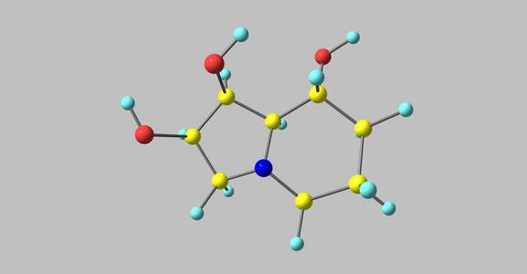 苦马豆素分子结构上灰色孤立