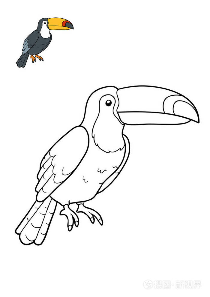 着色书巨嘴鸟