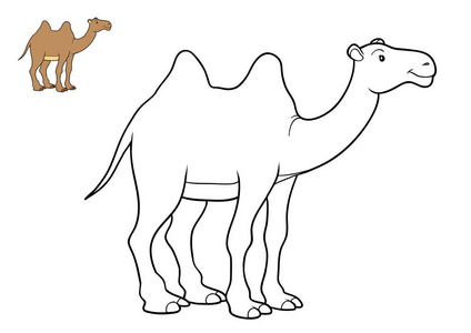幼儿骆驼简笔画图片