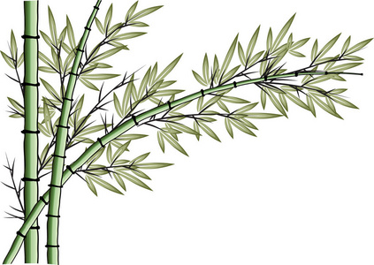 心沨竹图片-心沨竹素材-心沨竹插画-摄图新视界