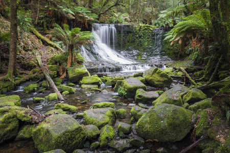 罗素瀑布，山场国家公园，塔斯马尼亚州澳大利亚
