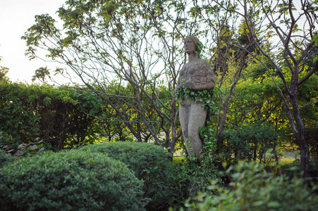 夏天的花园雕像在庭院