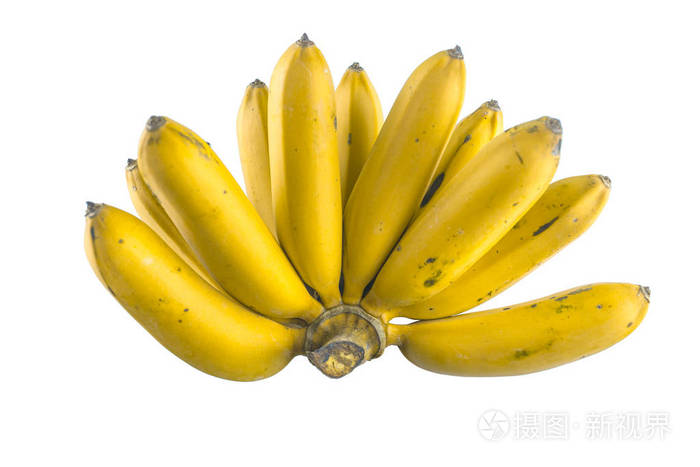 香蕉成熟的黄颜色,泰国受欢迎的水果上白色孤立