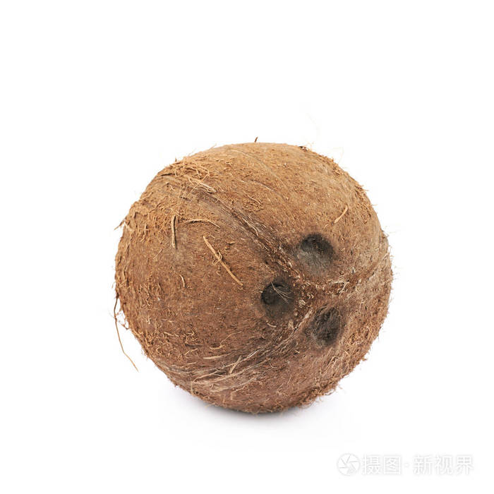 孤立的单个整个椰子