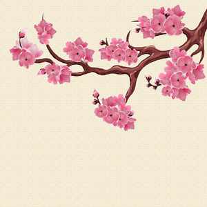 日本的樱花。郁郁葱葱的分支暗粉色的樱花。宣纸的纹理的背景。插图
