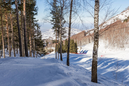 森林山区的滑雪坡