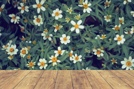 木地板与小草花背景