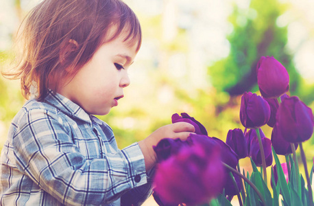 蹒跚学步的女孩玩紫色郁金香