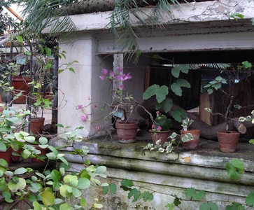 花和石头上的异国情调的装饰面板。背景