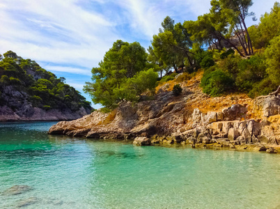 马赛与黑醋栗，普罗旺斯，法国 Calanque