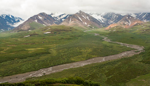 在 Denali 公园，阿拉斯加山脉视图