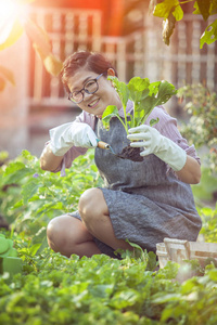 亚洲女人在家里的花园里种植有机蔬菜