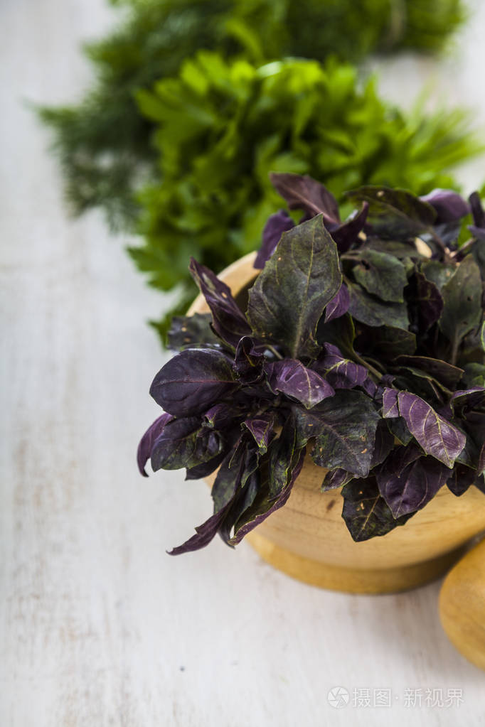 欧芹茴香罗勒轻木背景上