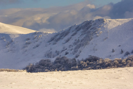 在 Bieszczady 山，南波兰东部山冬景