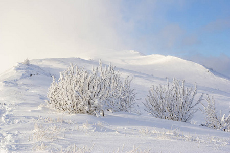 在 Bieszczady 山，南波兰东部山冬景