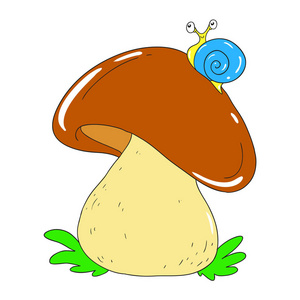 菌丝矢量蘑菇插画