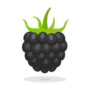 黑莓图标图片