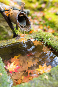 传统的竹喷泉在秋天