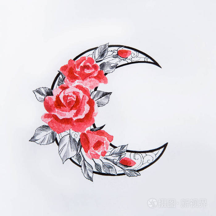 月亮与花在白色背景上的素描