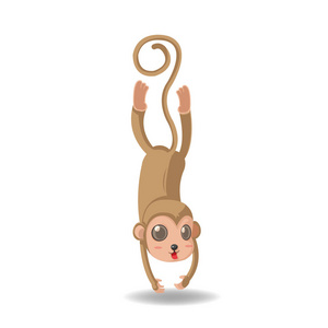 猴子动物可爱的卡通分离向量