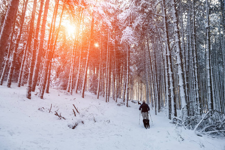 不知名的男人方和他的狗走在雪景中