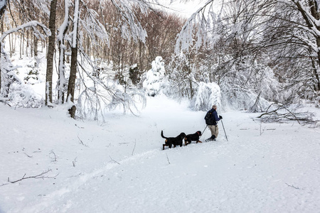 不知名的男人方和他的狗走在雪景中